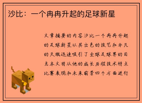 沙比：一个冉冉升起的足球新星